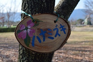 DSC_0010.jpg