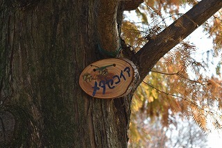 DSC_0011.jpg