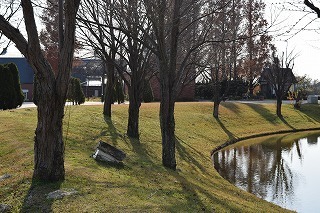 DSC_0014.jpg