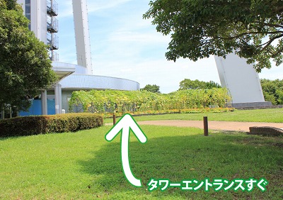 エントランスすぐ.jpg