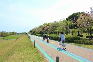 サイクリング.jpg