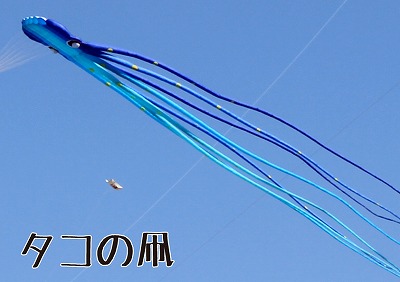 タコの凧.jpg