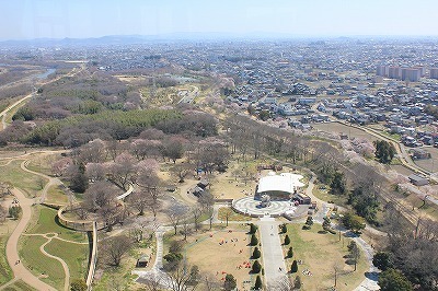 タワー展望階より (13).jpg