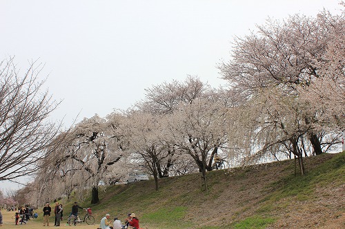 木曽川堤2.jpg