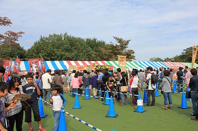 IMG_1377.jpg