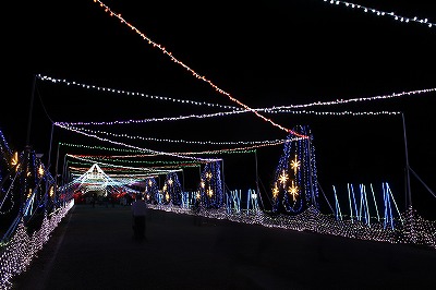 IMG_1510.jpg