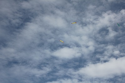 IMG_1608.jpg