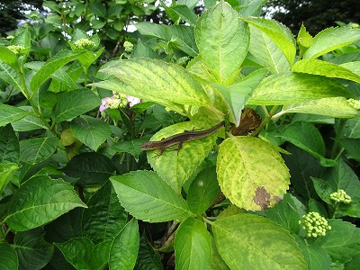 IMG_1691.jpg
