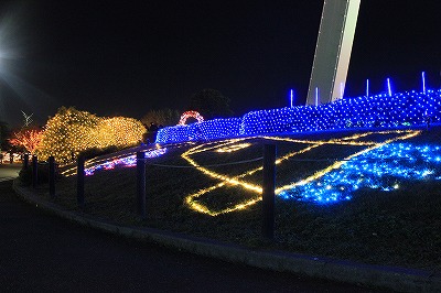 IMG_1725.jpg