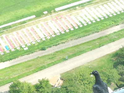 IMG_20130814_092013605.jpg