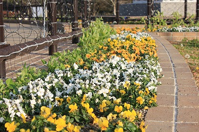 IMG_2858.jpg