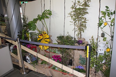 IMG_2862.jpg