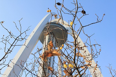IMG_2880.jpg