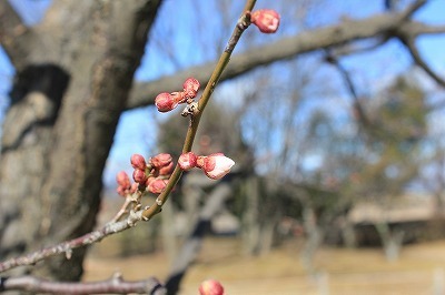 IMG_3708.jpg