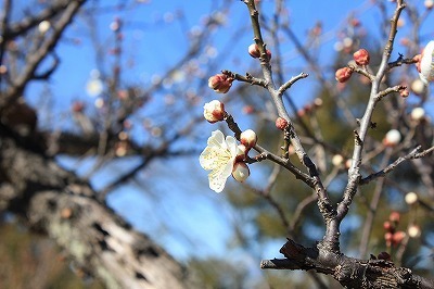 IMG_3712.jpg