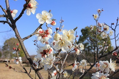 IMG_3739.jpg