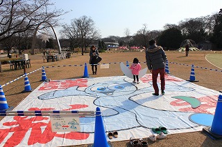 IMG_3895.jpg