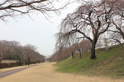 IMG_3904.jpg