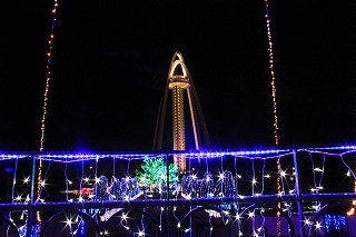 IMG_4052.jpg