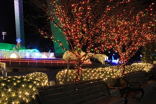 IMG_4092.jpg