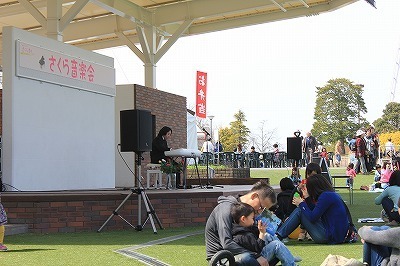 IMG_4156.jpg
