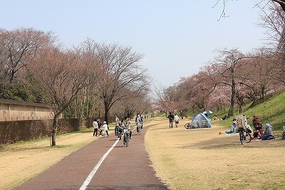 IMG_4161.jpg