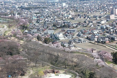 IMG_4235.jpg