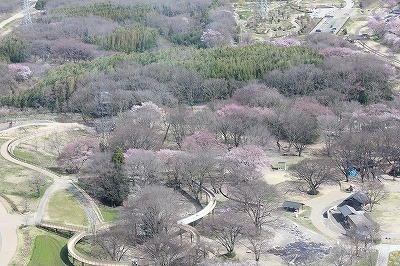 IMG_4238.jpg