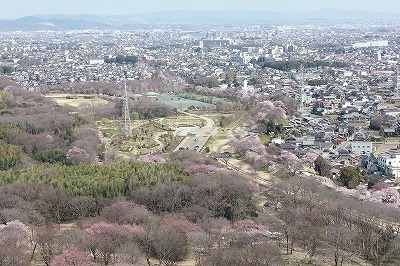 IMG_4239.jpg