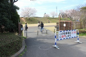 IMG_4330.jpg
