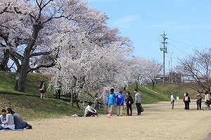 IMG_4332.jpg