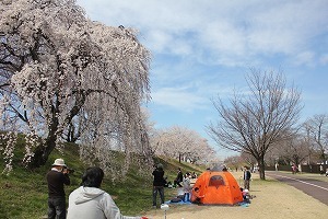 IMG_4344.jpg