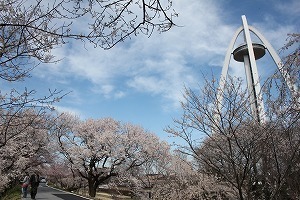 IMG_4366.jpg