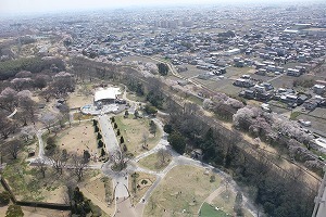 IMG_4395.jpg