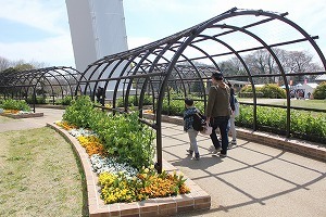 IMG_4412.jpg
