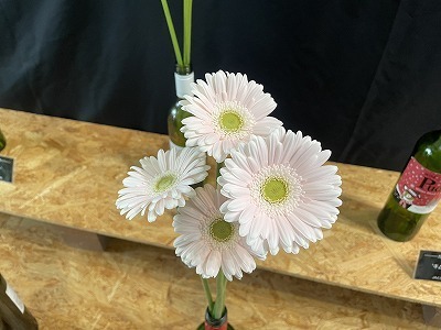 IMG_4688.jpg