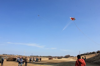IMG_4776.jpg