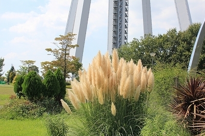 IMG_4964.jpg