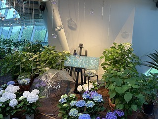 IMG_5293.jpg