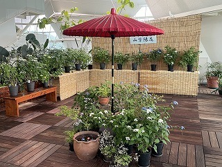 IMG_5302.jpg