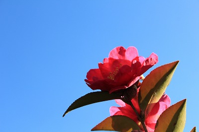 IMG_6054.jpg