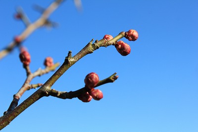 IMG_6059.jpg