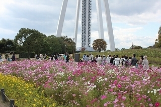 IMG_6370.jpg