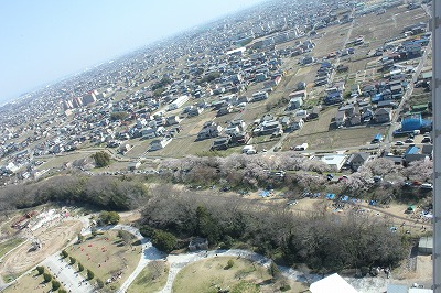 IMG_7000.jpg