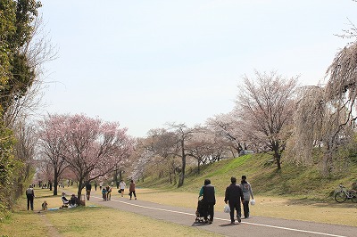 IMG_7571.jpg
