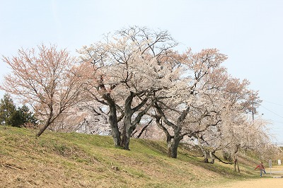 IMG_7572.jpg