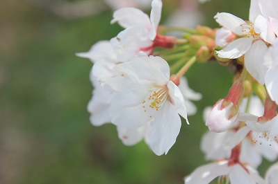IMG_7586.jpg