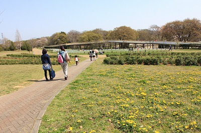 IMG_7635.jpg