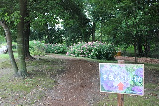 IMG_7642.jpg