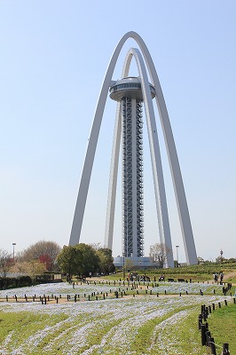 IMG_7645.jpg